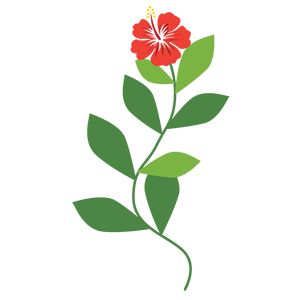 Plant interactions