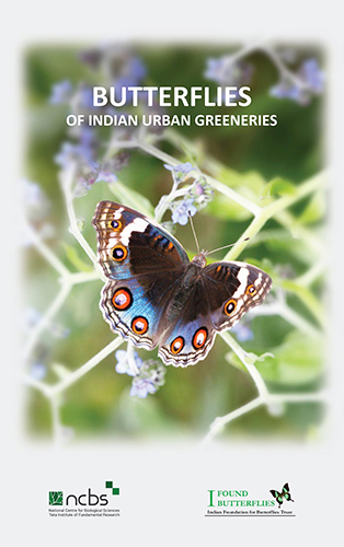 Urban Greeneries brochure