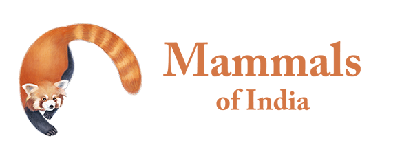 Mammals of India