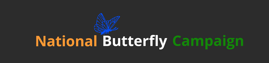 National Butterfly Campaign Banner